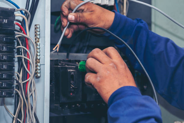 Best Affordable Electrician  in Williamsport, OH